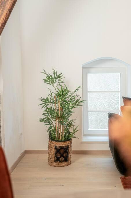 Ferienwohnung Gemuetliche Oase Im Denkmal Bonnigheim Exterior foto